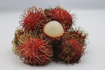 Close-up of red berries on white background