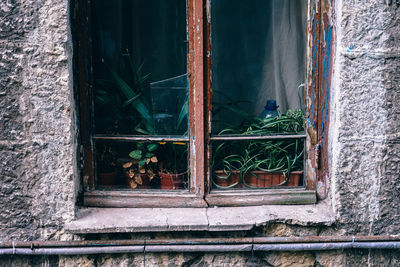 Close-up of window