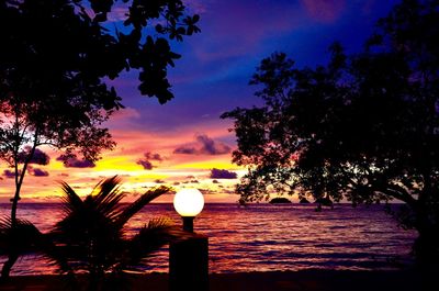 Silhouette tree by sea against dramatic sky