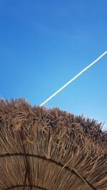 Low angle view of plants against blue sky