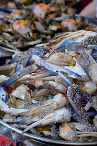 High angle view of fish for sale in market