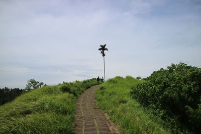 Footpath amidst trees on field against sky