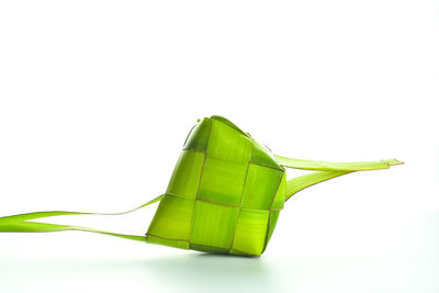 Close-up of green leaf on white background