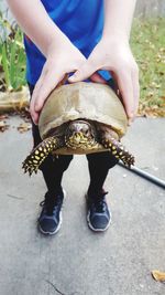 Low section of boy holding grasshopper