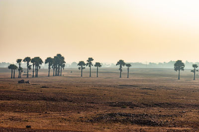 Countryside empty rural area cover with mist at morning