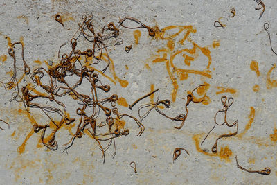 Detail shot of wall