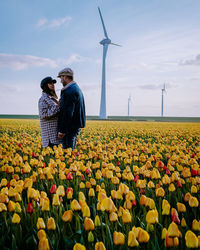 Rear view of man and yellow tulips on field