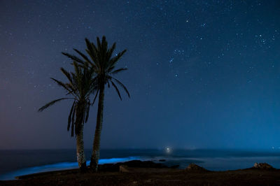 Scenic view of tree against sky at night