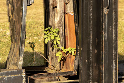 Close-up of old window of house