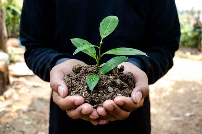 Close-up of woman holding plant