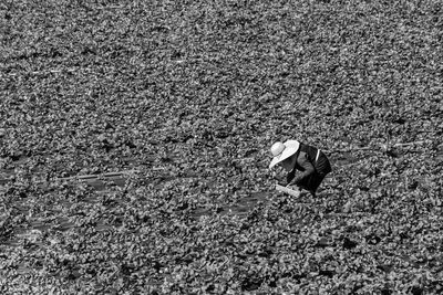 High angle view of person on field