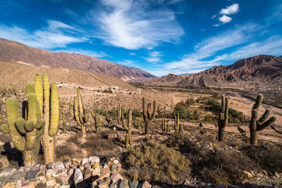 Scenic view of landscape and mountains against sky