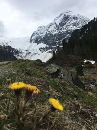 Scenic view of snow covered mountain against sky