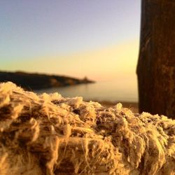 Close-up of rocks at sunset