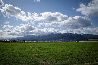 Scenic view of field against sky