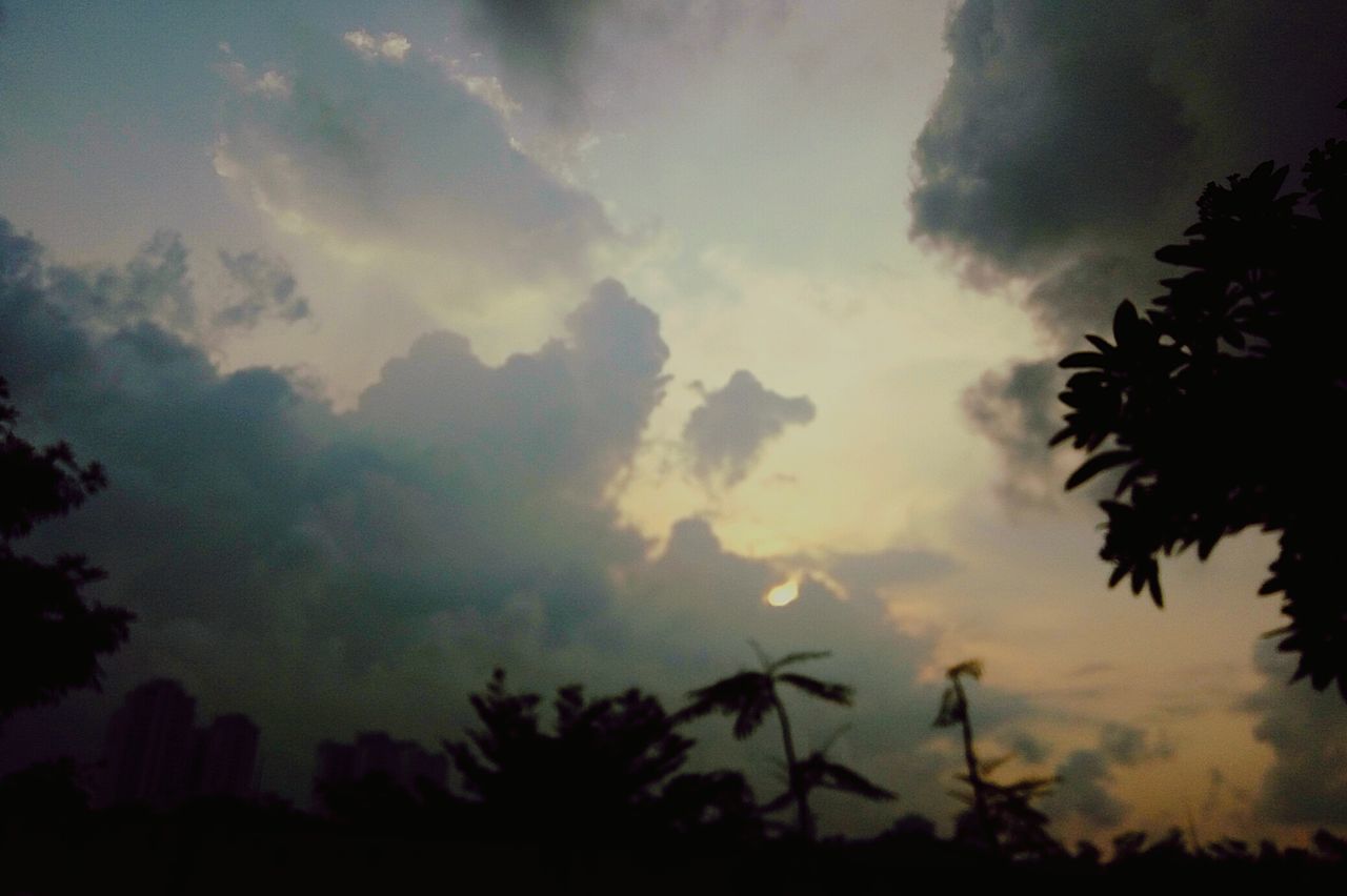 silhouette, sky, beauty in nature, tree, sunset, tranquility, low angle view, scenics, tranquil scene, cloud - sky, nature, growth, idyllic, cloudy, cloud, dramatic sky, dusk, outdoors, no people, majestic