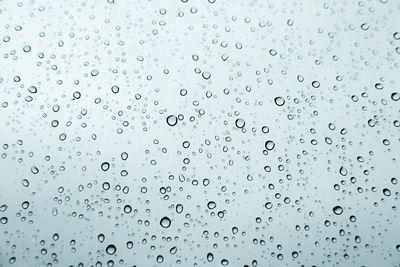 Close-up of water drops on ground