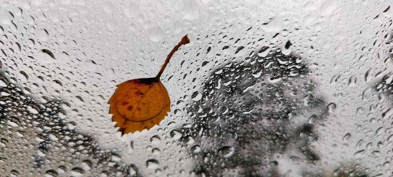 CLOSE-UP OF RAINDROPS ON GLASS WINDOW DURING WINTER