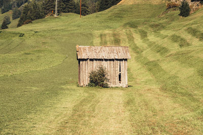 House on field