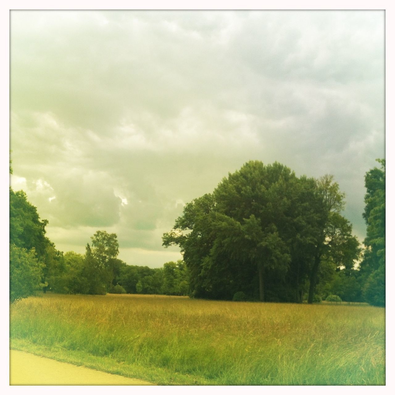 field, landscape, sky, grass, tranquil scene, tranquility, tree, rural scene, transfer print, agriculture, cloud - sky, growth, scenics, beauty in nature, nature, farm, cloudy, auto post production filter, cloud, green color