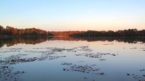 Reflection of trees in calm lake