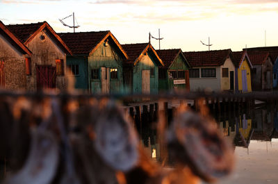 Huts along coast 