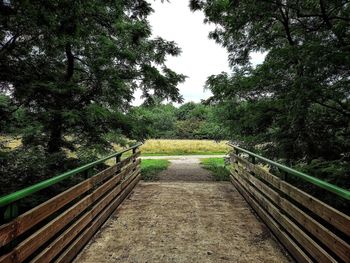 Footpath amidst trees in forest against sky