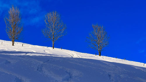 Low angle view of snow covered mountain against blue sky