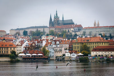 Buildings in city