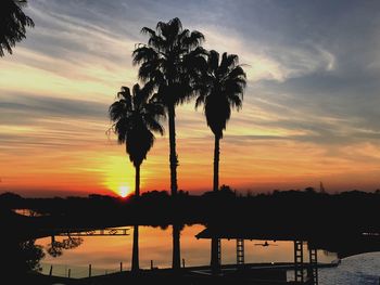 Silhouette palm trees against sky during sunset