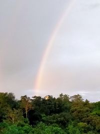 Rainbow over trees against sky