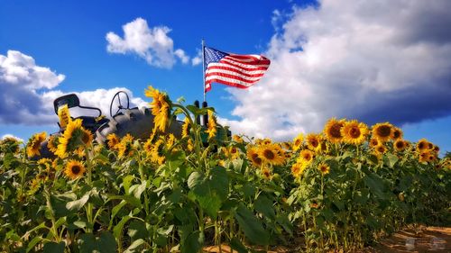 Low angle view of flag against sky