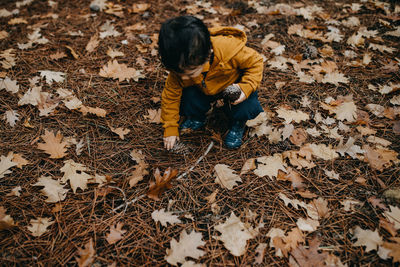 Child picking pine cones