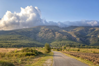 Road amidst green landscape against sky