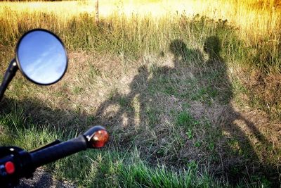 View of grassy field