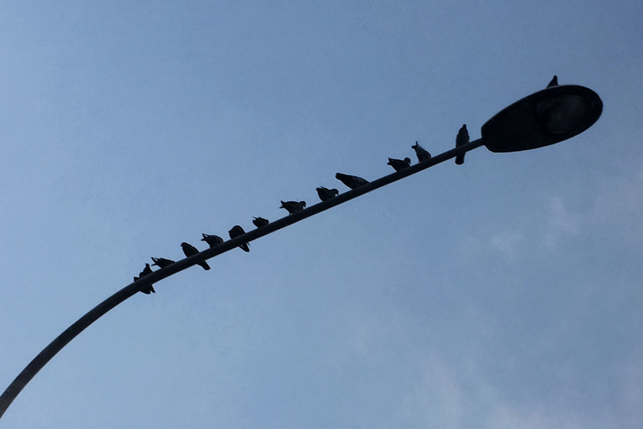 LOW ANGLE VIEW OF STREET LIGHT AGAINST CLEAR SKY