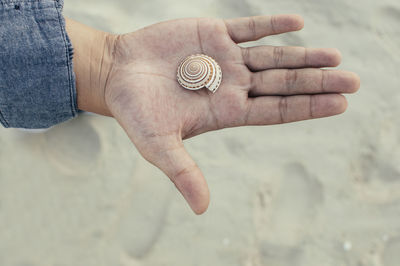 Close-up of man holding seashell