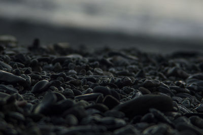 Full frame shot of rocks on beach