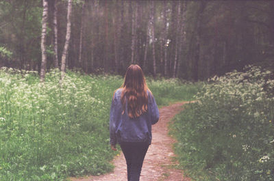 Rear view of woman walking in forest