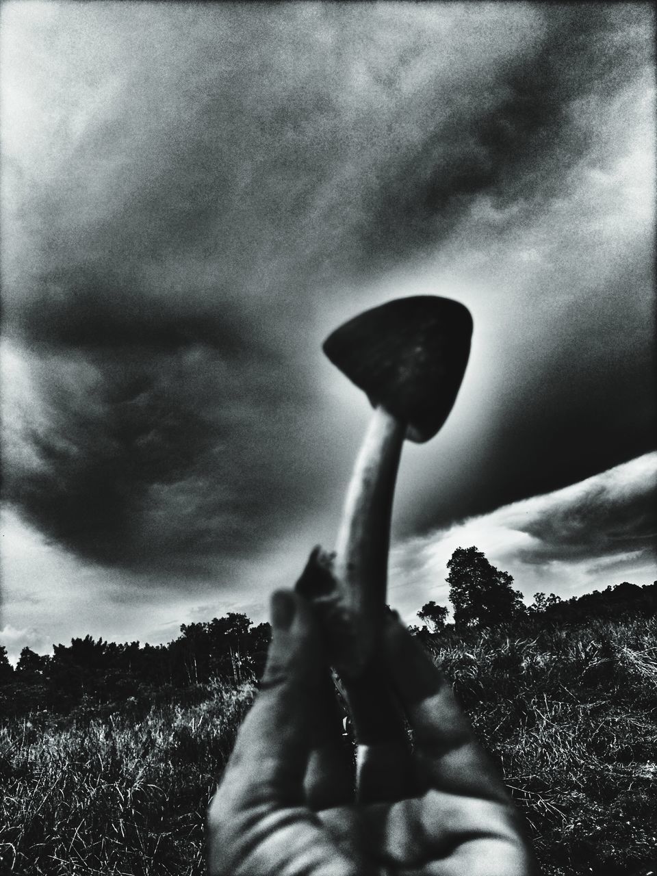 darkness, black and white, black, cloud, sky, monochrome photography, hand, one person, monochrome, nature, holding, white, tree, auto post production filter, plant, light, personal perspective, adult, outdoors, leisure activity, lifestyles, day