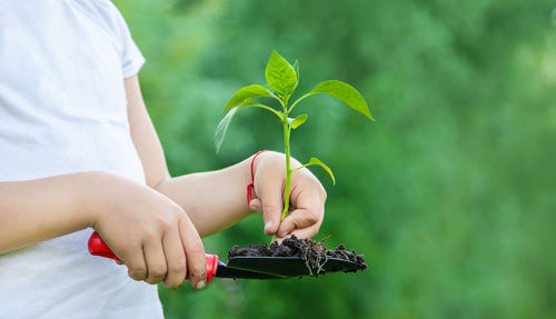 Midsection of man holding small plant