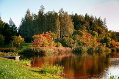 Scenic view of lake by trees against sky