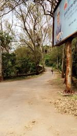 Road amidst bare trees