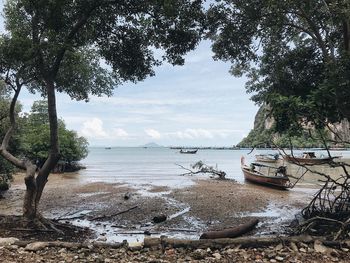 Scenic view of sea against sky