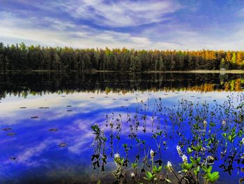 Scenic view of lake by trees against sky