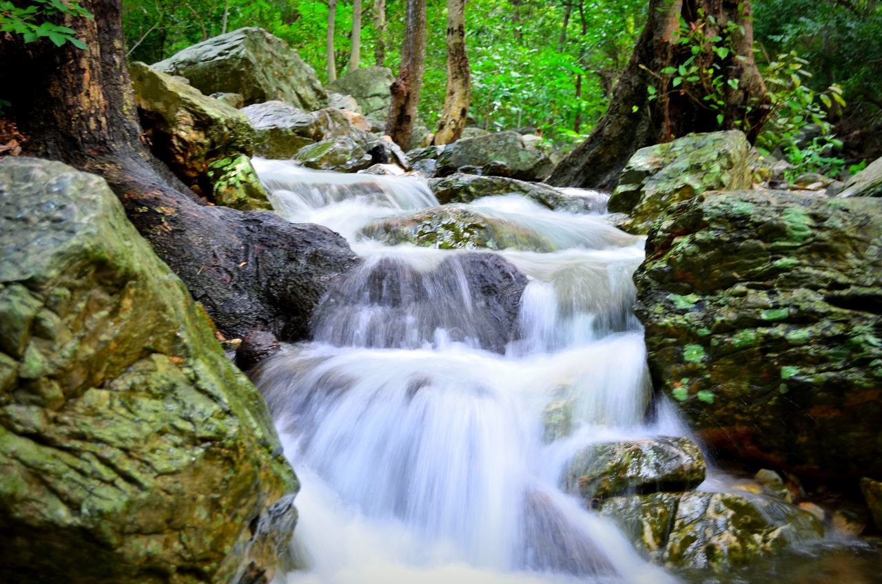 waterfall, flowing water, motion, water, long exposure, flowing, forest, beauty in nature, rock - object, scenics, nature, blurred motion, tree, stream, rock formation, rock, idyllic, environment, river, power in nature