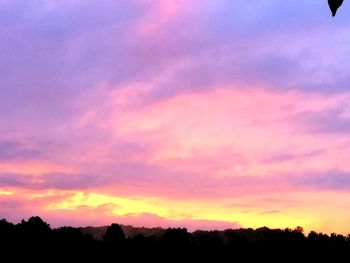 Silhouette of trees at sunset