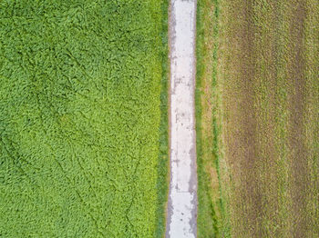 Directly above shot of soccer field