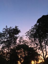 Low angle view of silhouette trees against clear blue sky