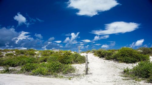 View of landscape against blue sky